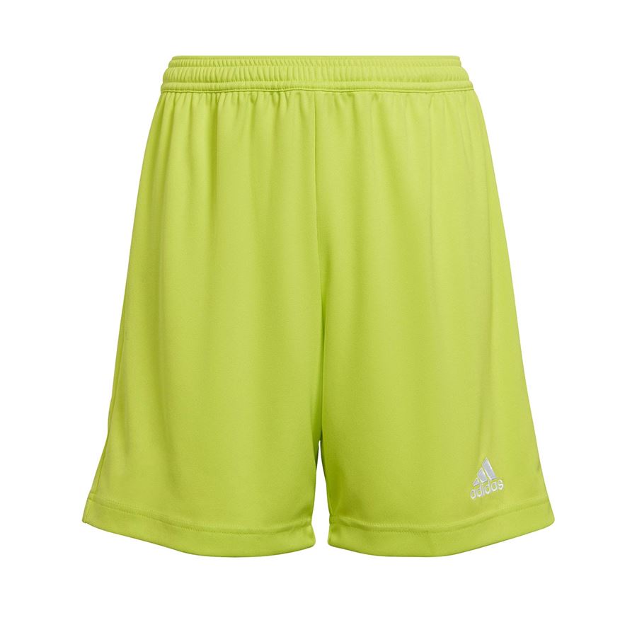 ENT22 SHORT Y Adidas | HC5065X
